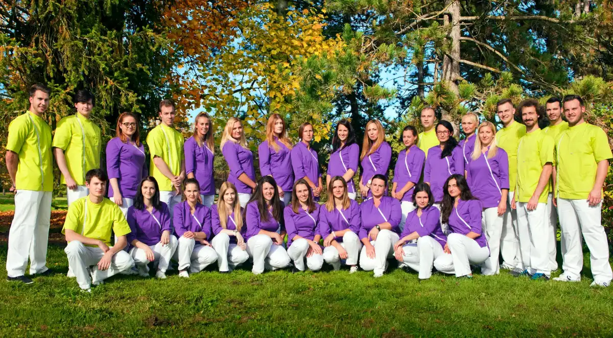 The study program Physiotherapy